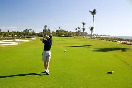 Image of a golfer. 