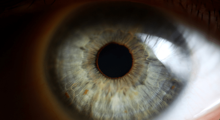 Human eye